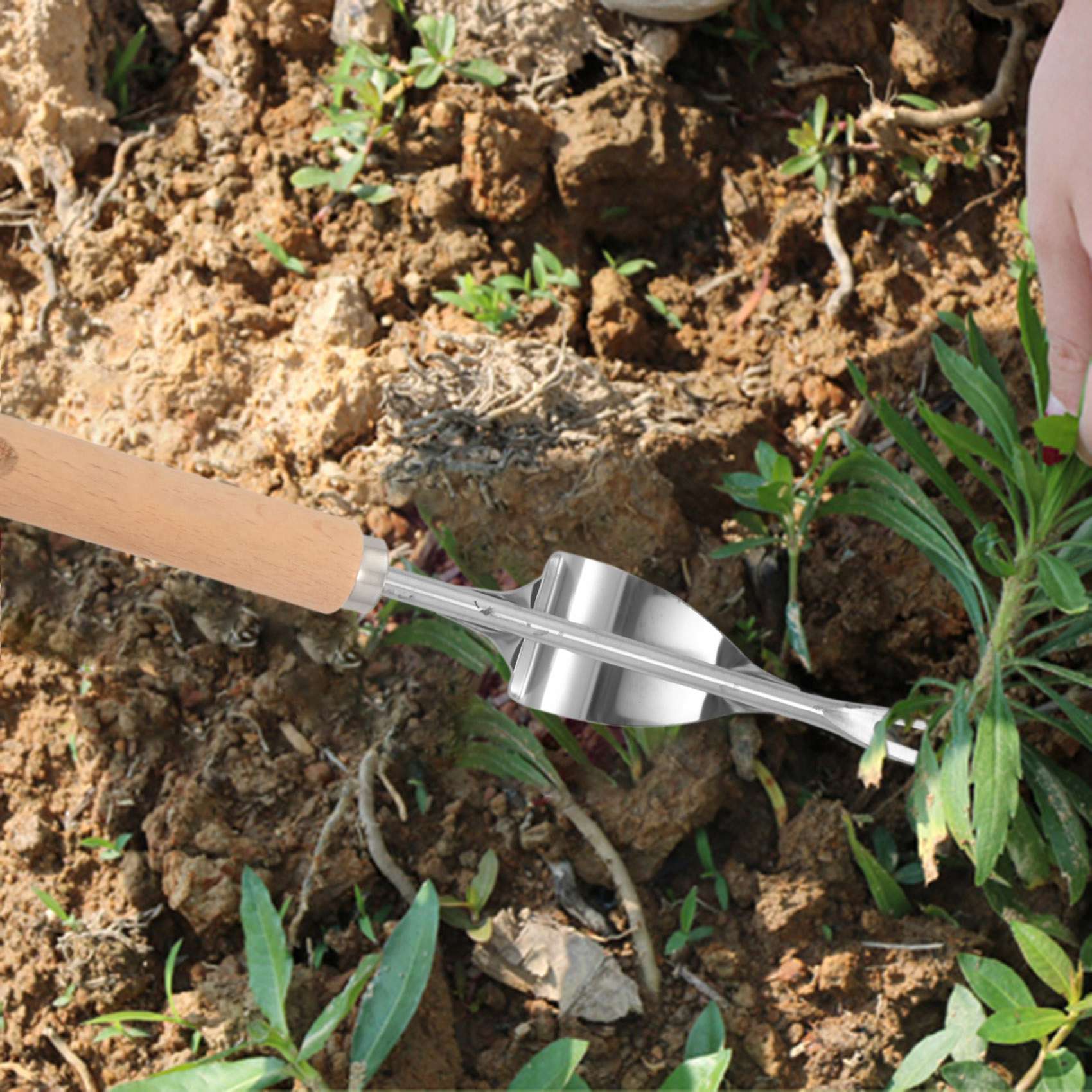 Weed Puller - ABGE-Wood Handle Stainless Steel Garden Weeder
