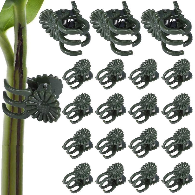 Gardening Tools For Vines - 20/50/100PCS Plant Clips Vine Clamp Plant