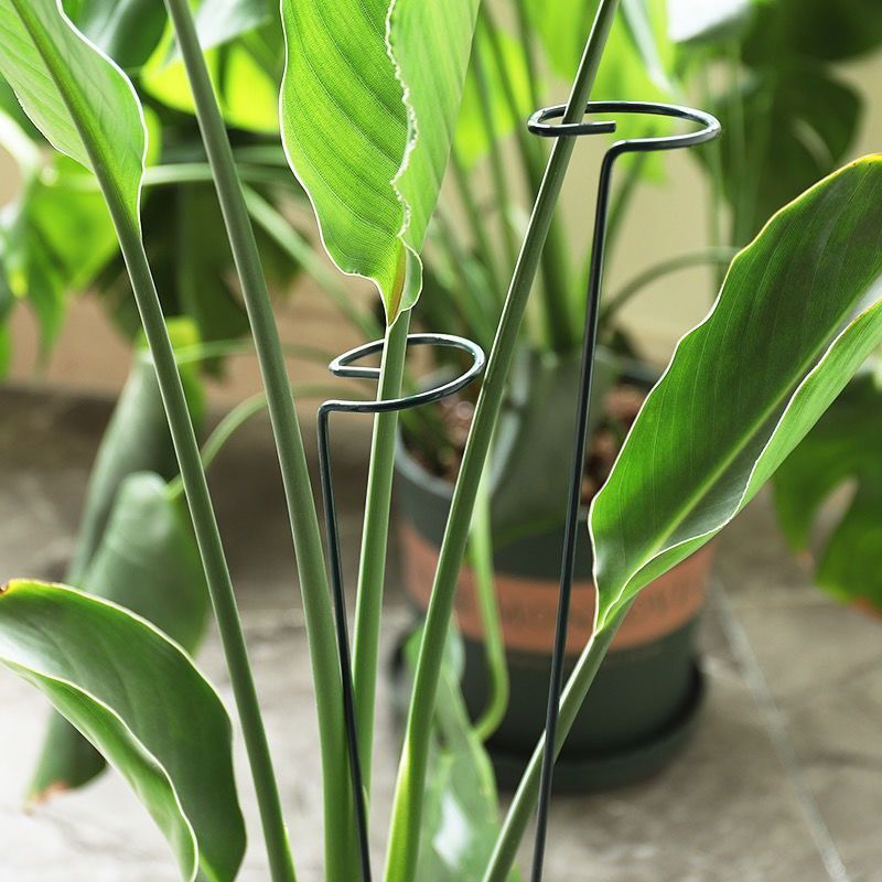 1/10pcs Garden Support Stake R - Gardening Tools Hoe ulasan dan harga