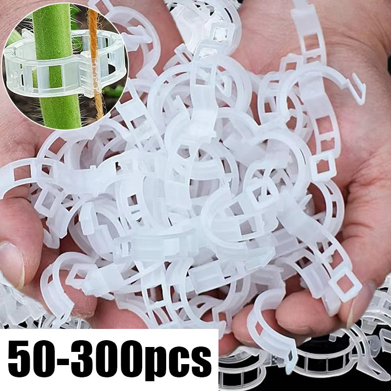 50-300PCS Plant Support Clips  - Gardening Tools For Vines ulasan dan harga