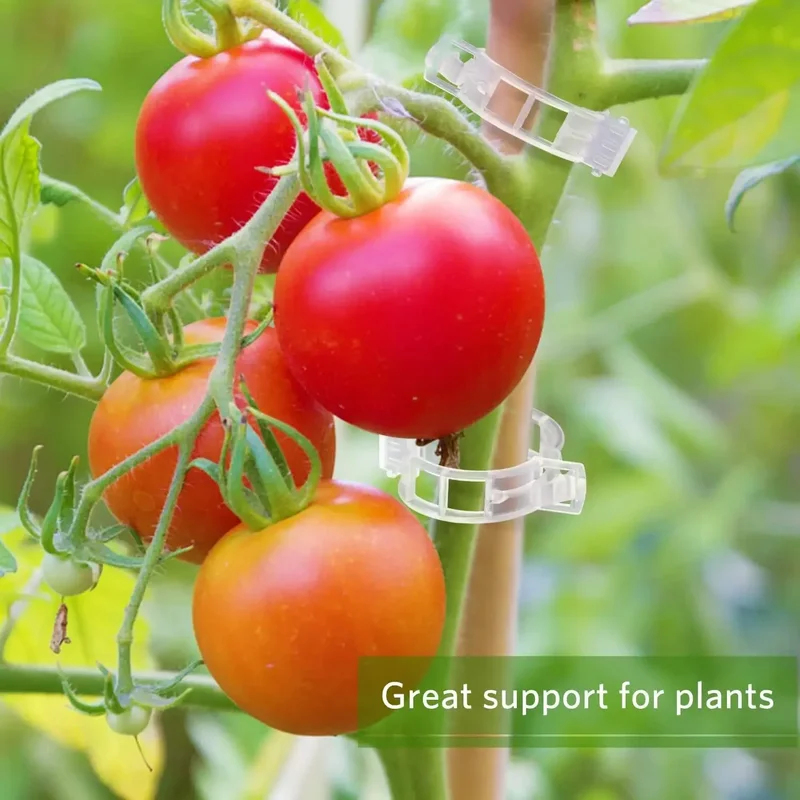 50-300PCS Plant Support Clips  - Gardening Tools For Vines ulasan dan harga