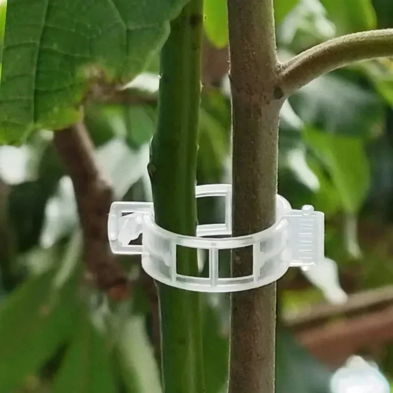 50-300PCS Plant Support Clips  - Gardening Tools For Vines ulasan dan harga
