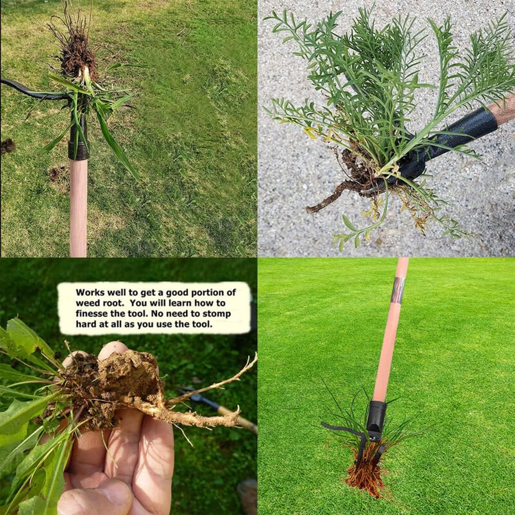 Stand Up Weed Puller Tool Deta - Weed Puller ulasan dan harga