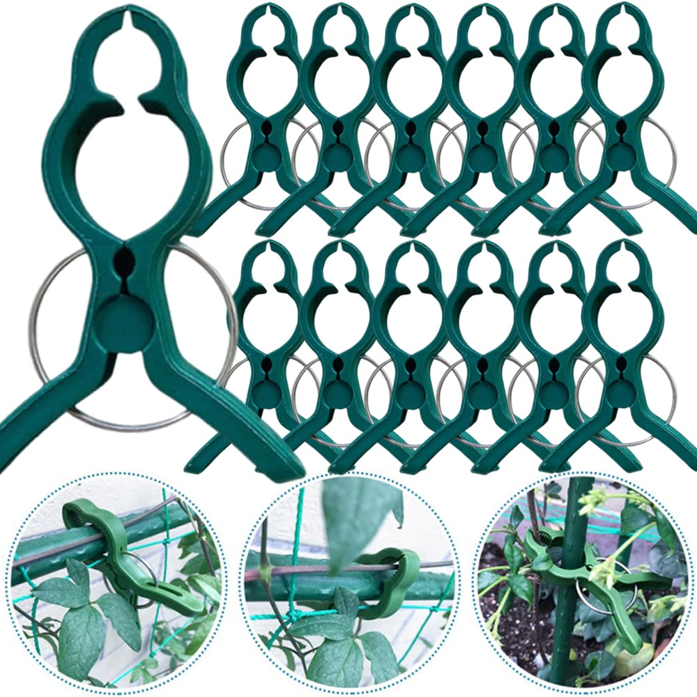 50/10PCS Plant Vegetable Suppo - Gardening Tools For Vines ulasan dan harga