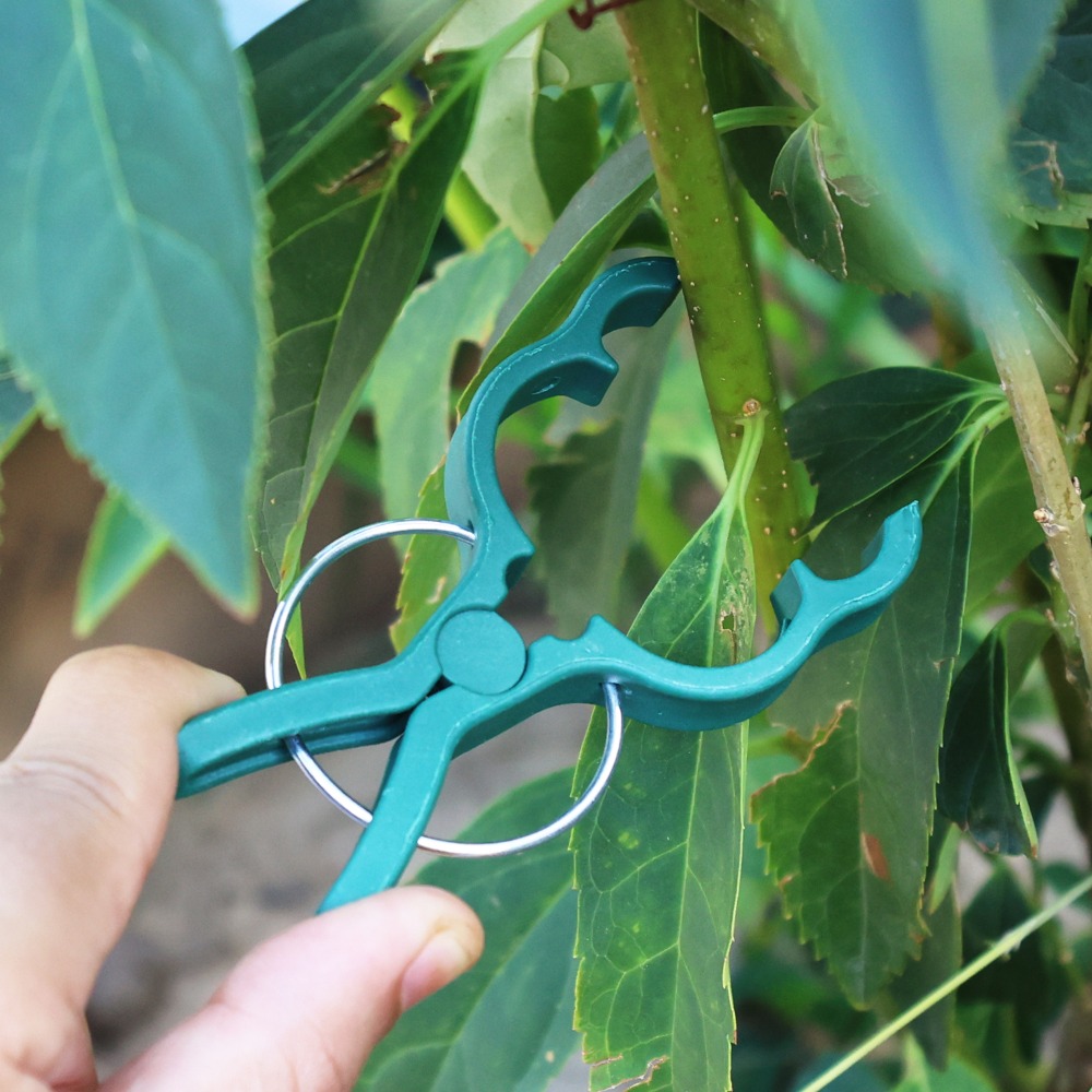 50/10PCS Plant Vegetable Suppo - Gardening Tools For Vines ulasan dan harga