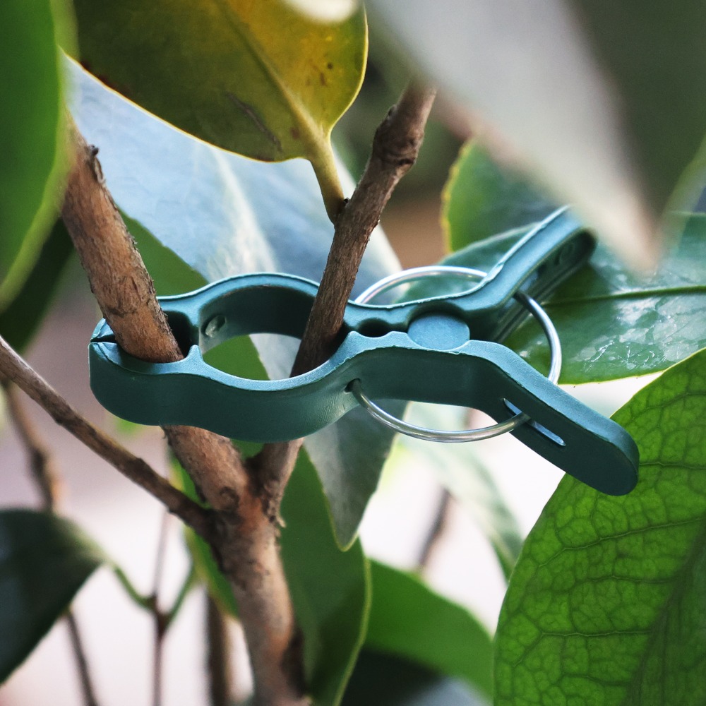50/10PCS Plant Vegetable Suppo - Gardening Tools For Vines ulasan dan harga