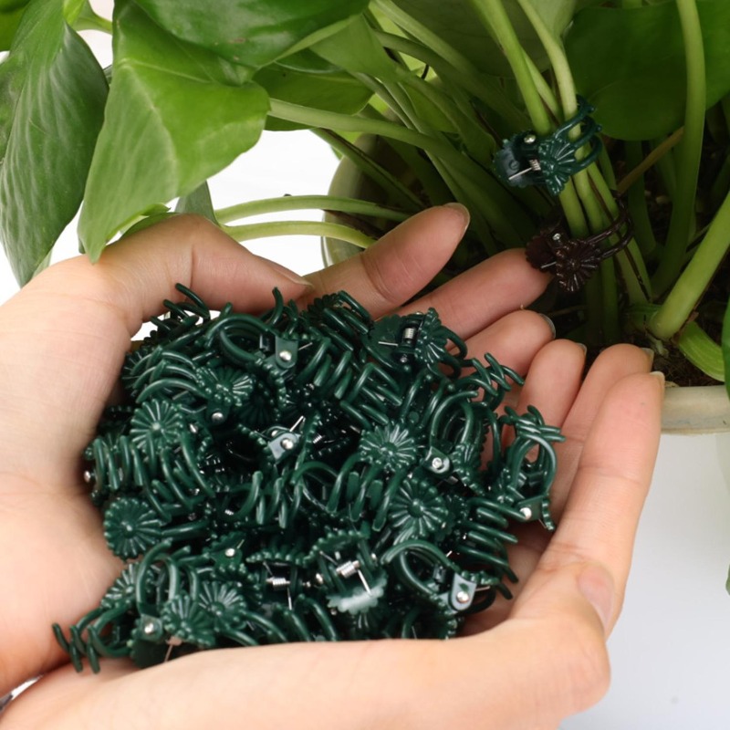 Wholesale Mini Plant Support C - Gardening Tools For Vines ulasan dan harga