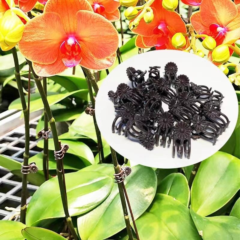 Wholesale Mini Plant Support C - Gardening Tools For Vines ulasan dan harga