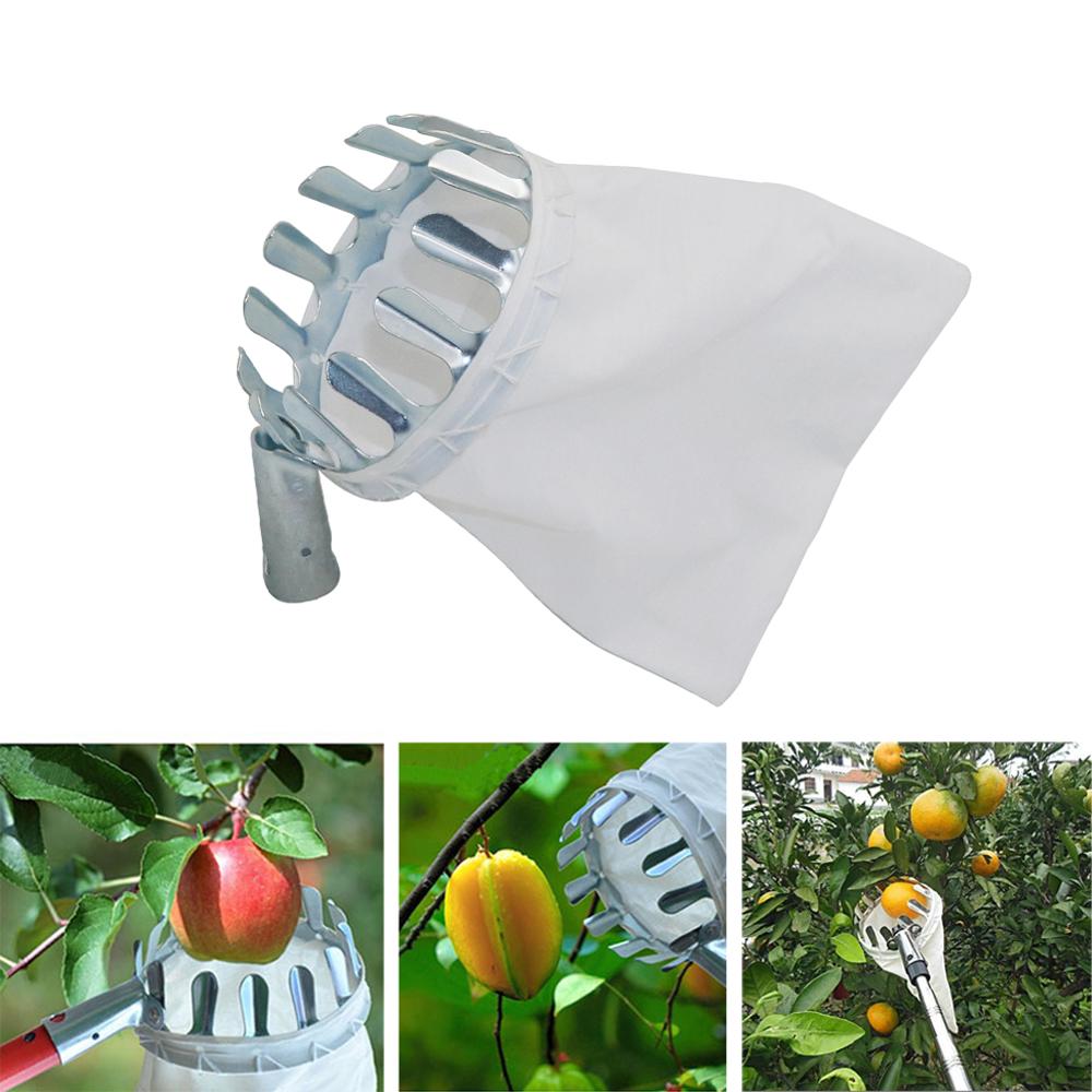 Garden Pruning Fruit Picker Ga - Gardening Tools Long ulasan dan harga