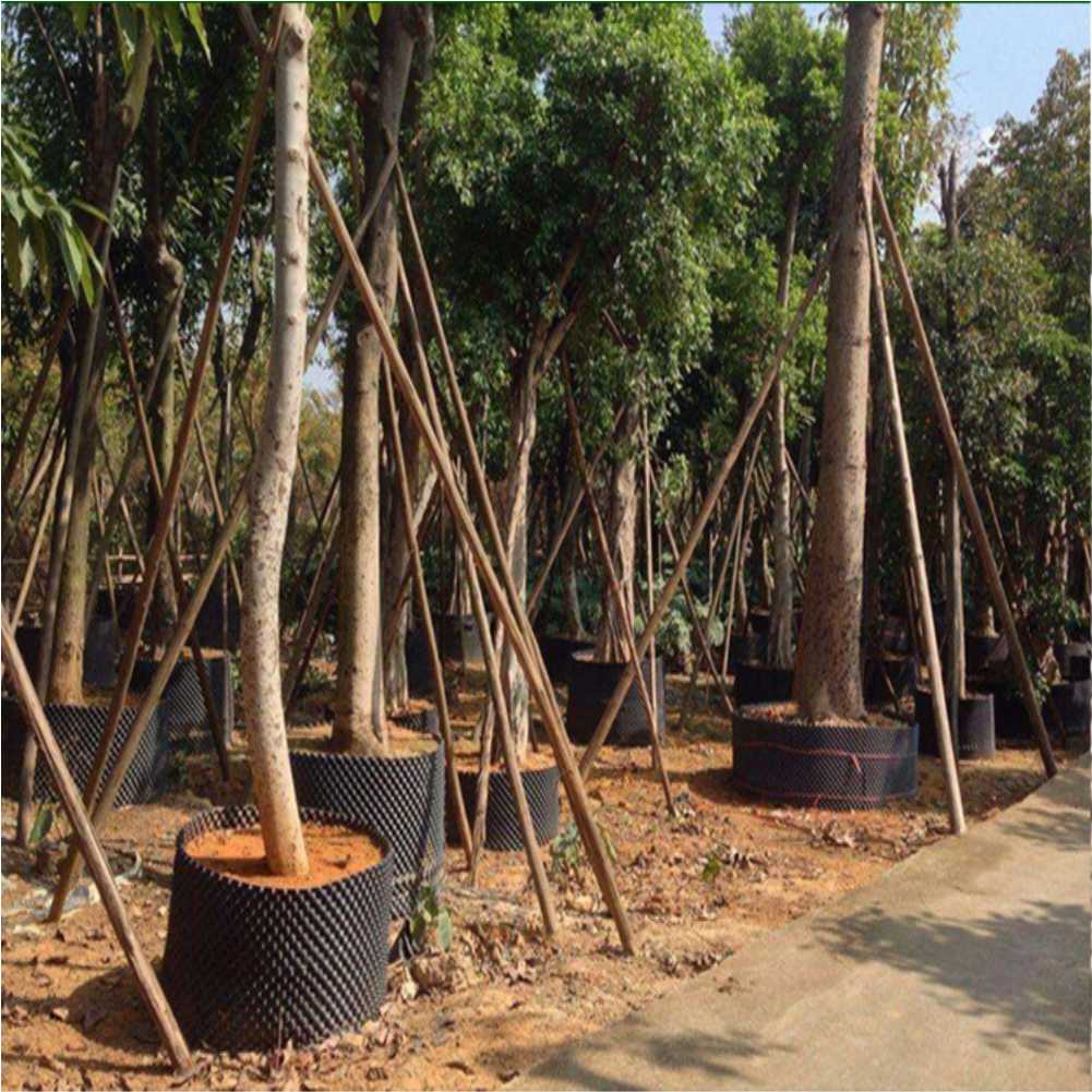 Grow Container Garden Tree Bon - Gardening Tools ulasan dan harga