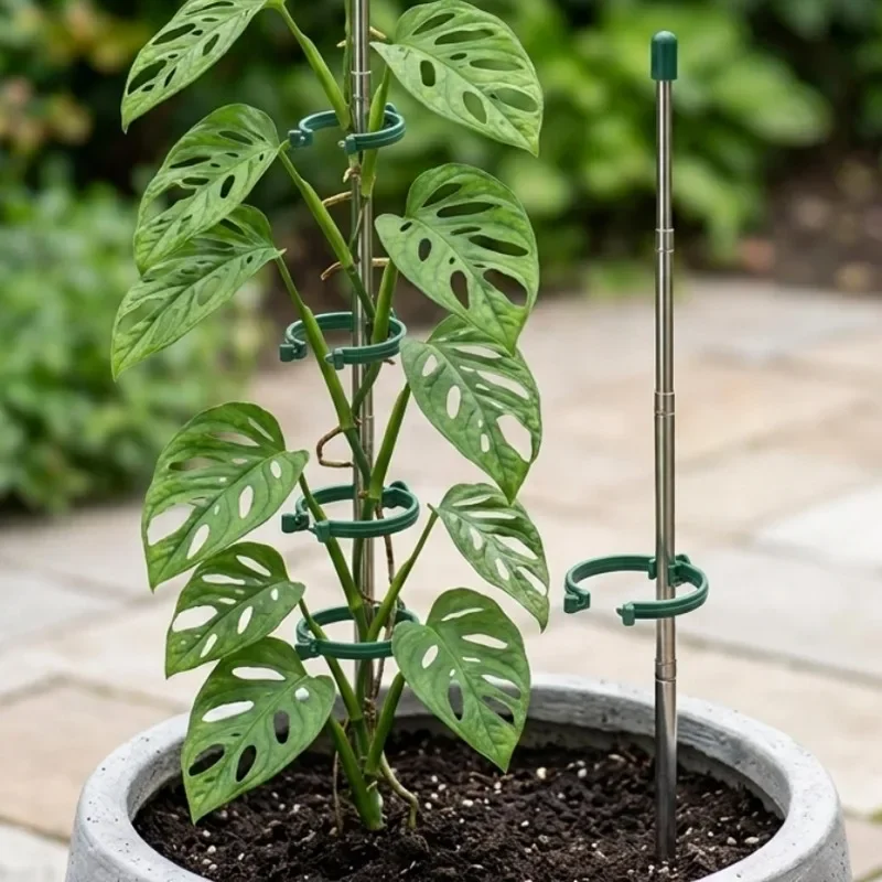 5/1PCS Retractable Plant Suppo - Gardening Tools Hoe ulasan dan harga