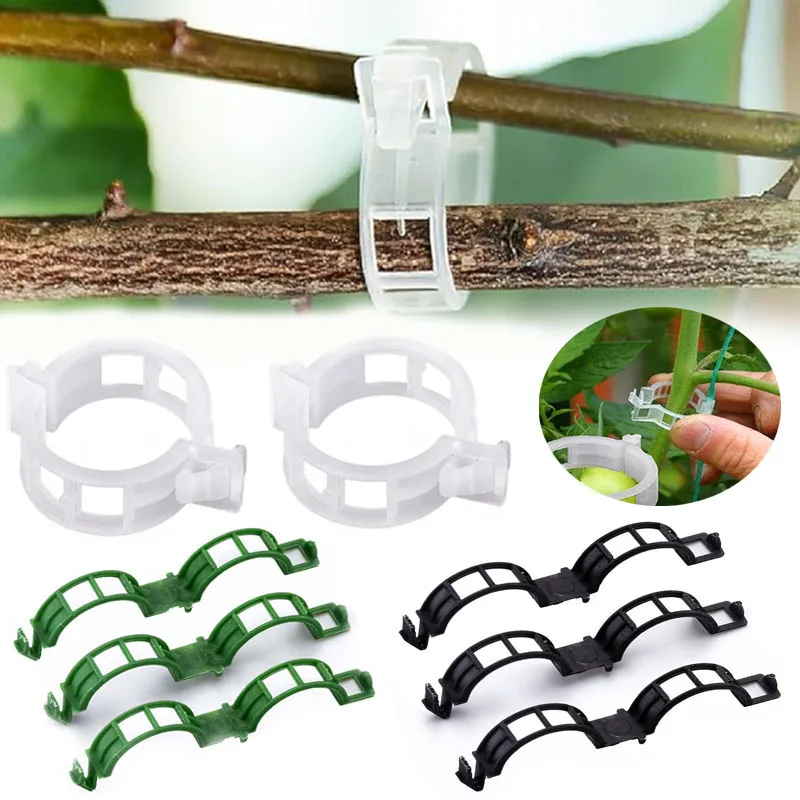 100PCS Plant Fixing Clips Reus - Gardening Tools For Vines ulasan dan harga
