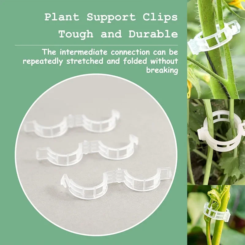 100PCS Plant Fixing Clips Reus - Gardening Tools For Vines ulasan dan harga