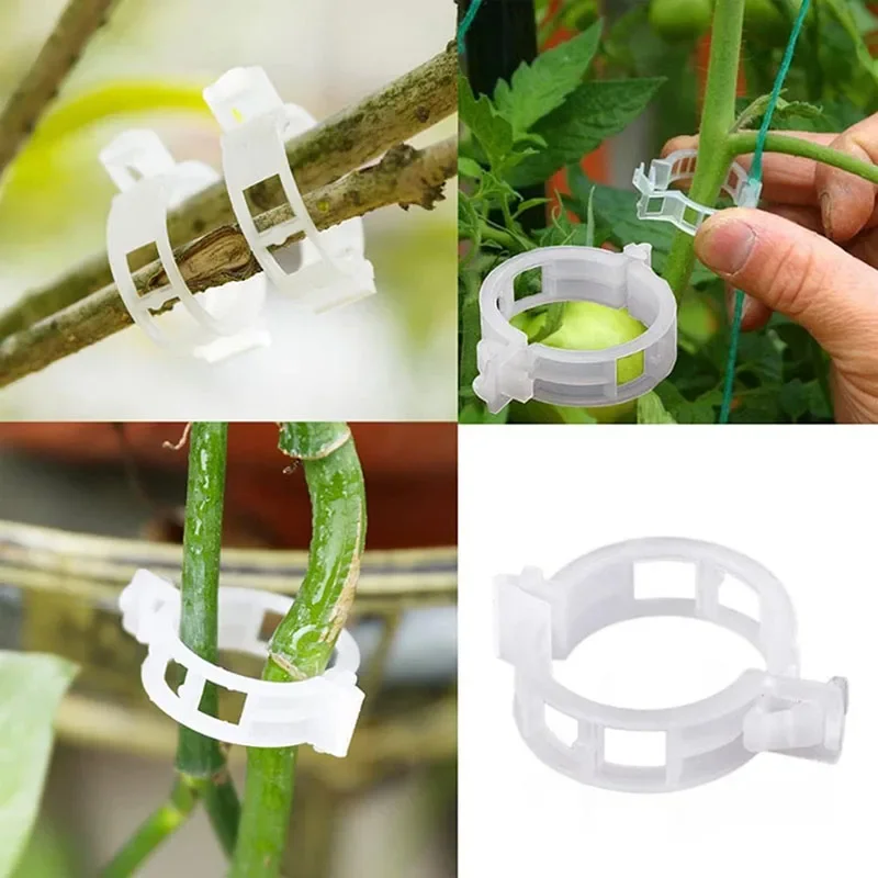 100PCS Plant Fixing Clips Reus - Gardening Tools For Vines ulasan dan harga
