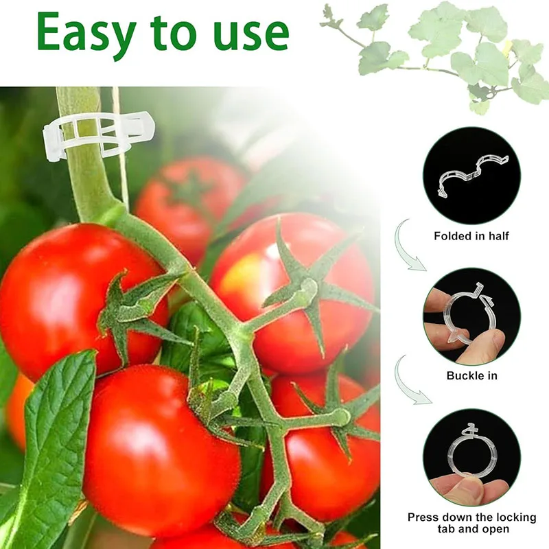100PCS Plant Fixing Clips Reus - Gardening Tools For Vines ulasan dan harga