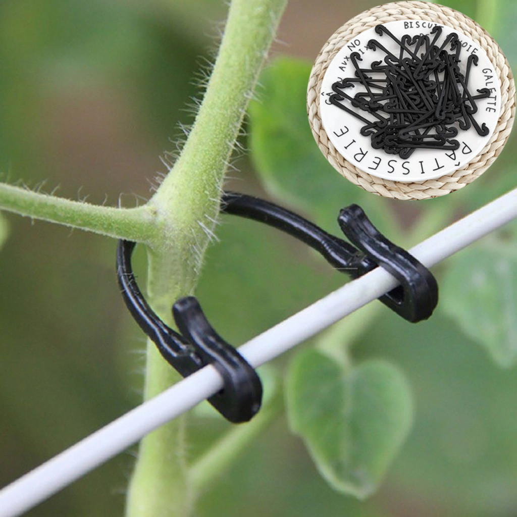 50-500PCS Vines Fastener Tied  - Gardening Tools For Vines ulasan dan harga