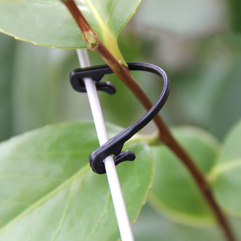 50-500PCS Vines Fastener Tied  - Gardening Tools For Vines ulasan dan harga