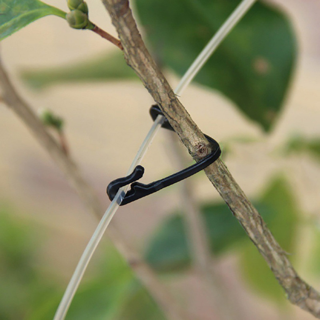 50-500PCS Vines Fastener Tied  - Gardening Tools For Vines ulasan dan harga