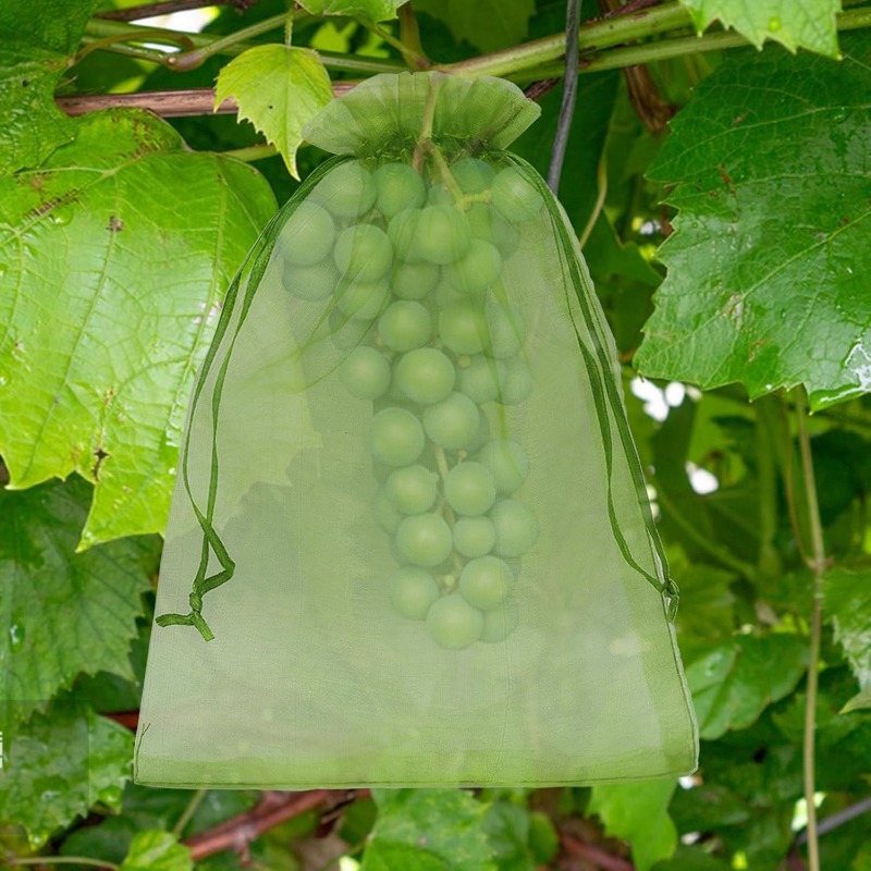 Wholesale Fruit Protection Bag - Gardening Tools Store ulasan dan harga