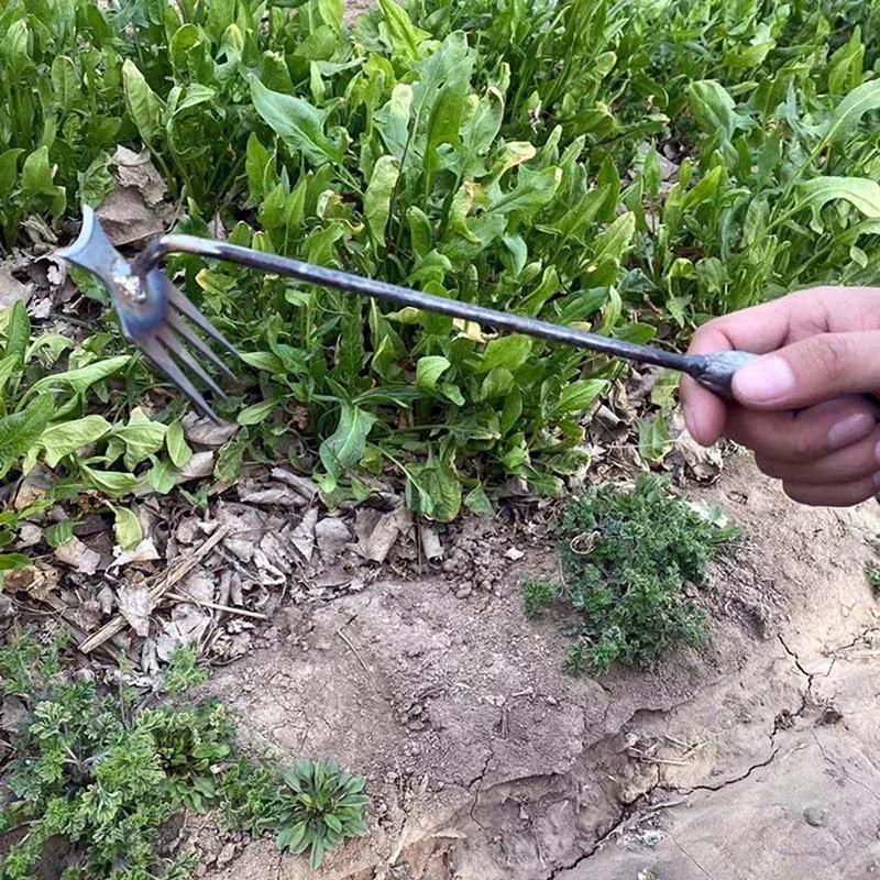 Garden Weeders Grass Hand Weed - Weed Puller ulasan dan harga