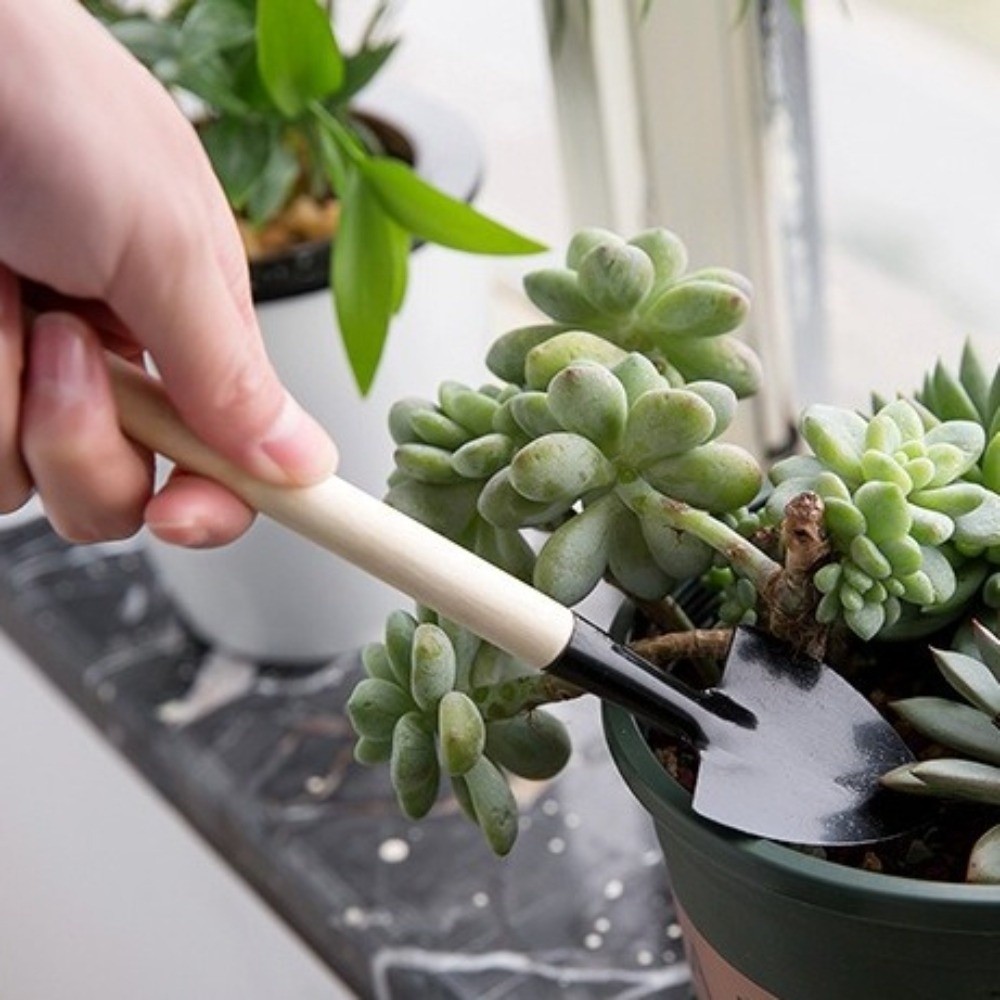 Multi-functional Mini Garden P - Spade Digging Fork ulasan dan harga