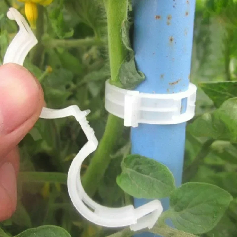 Plant Support Clips Reusable P - Gardening Tools For Vines ulasan dan harga