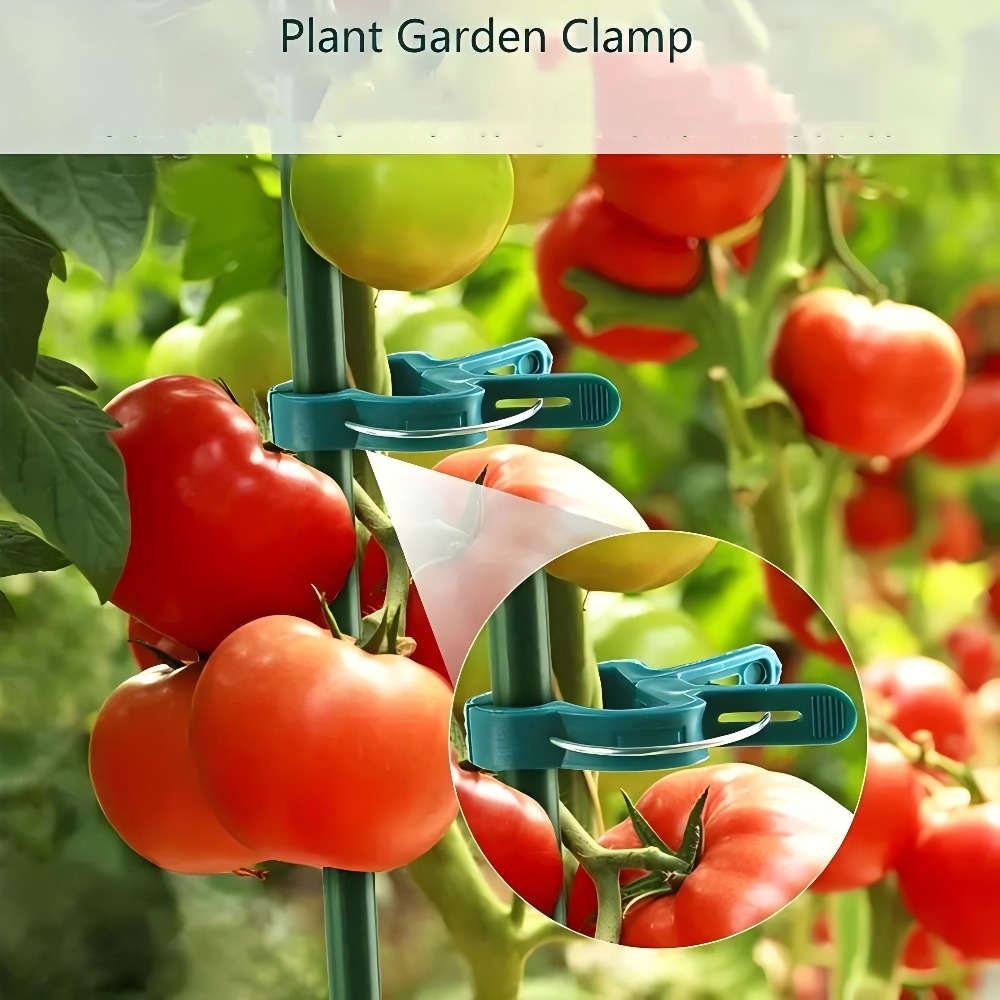 10/30/50pcs Adjustable Plant C - Gardening Tools For Vines ulasan dan harga