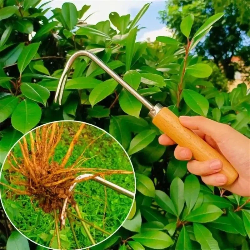 Stainless Steel Gardening Weed - Weed Puller ulasan dan harga
