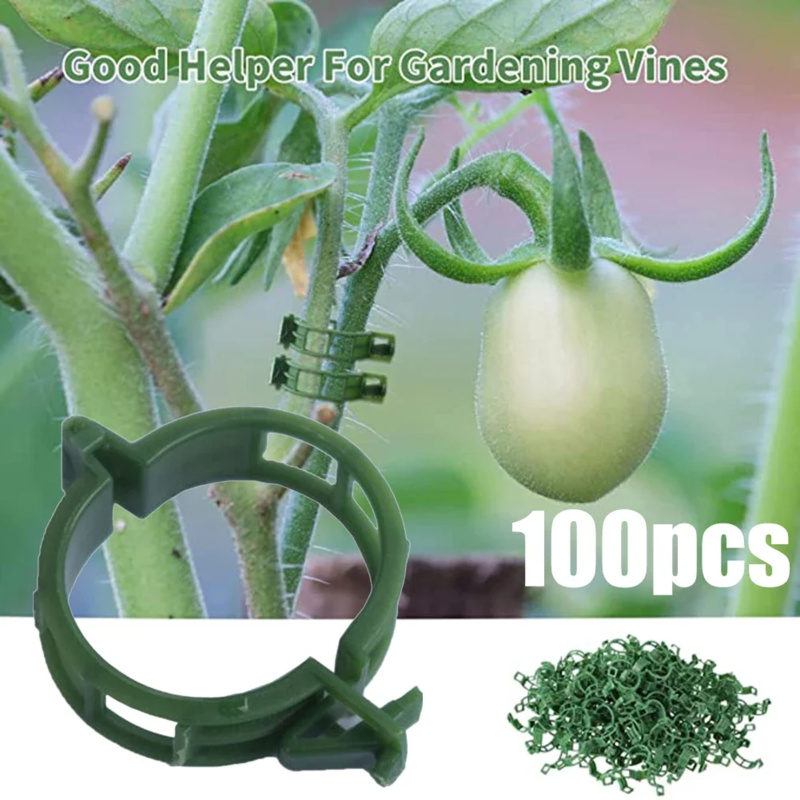100 PCS/ Plant Support Clip Pl - Gardening Tools Hoe ulasan dan harga