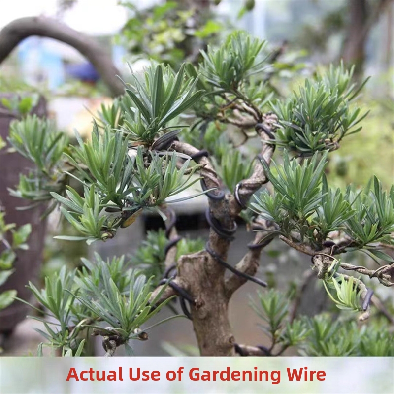 1.5MM Bonsai Wires Aluminum Bo - Gardening Tools For Home ulasan dan harga