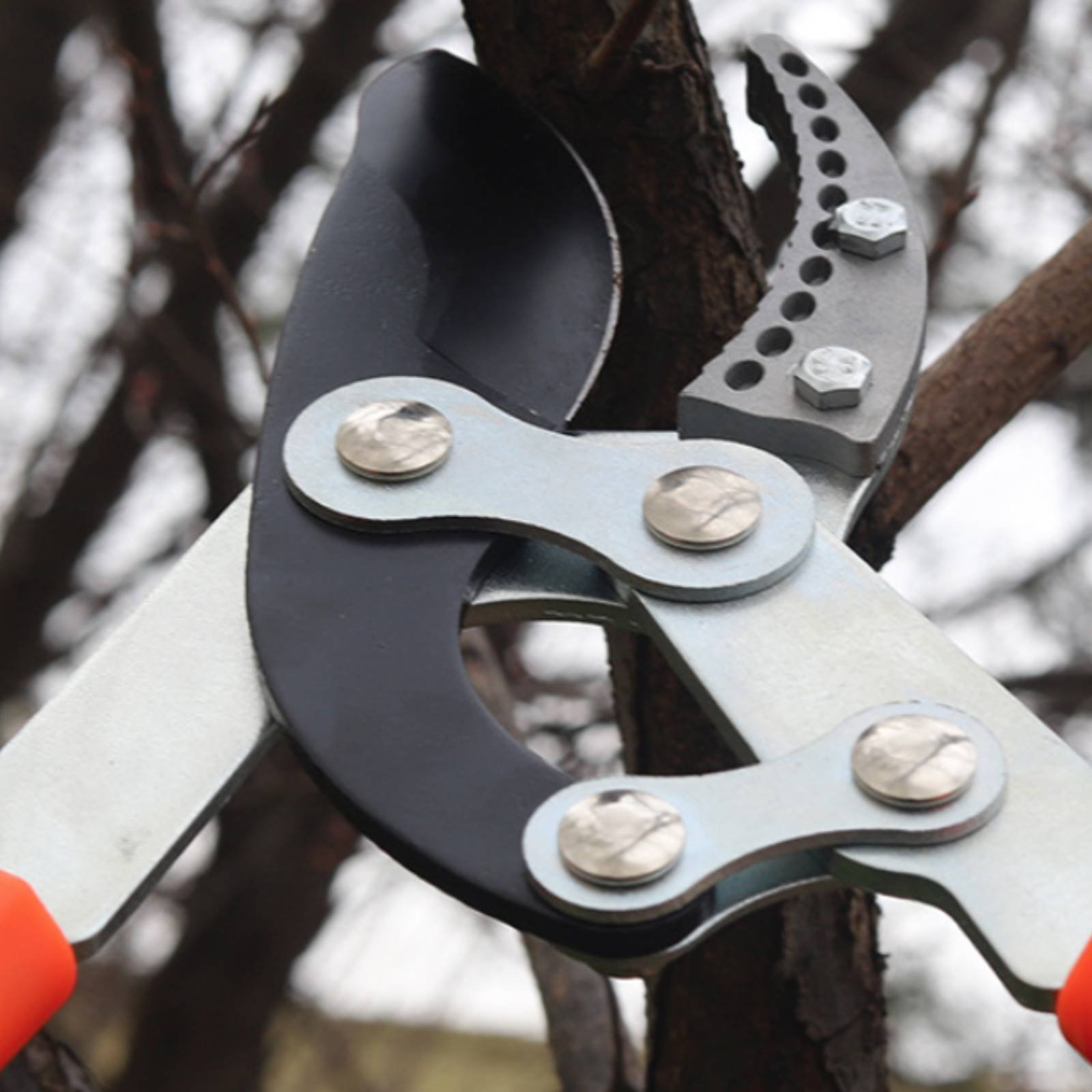 Telescopic Branch Pruners Shar - Gardening Tools ulasan dan harga