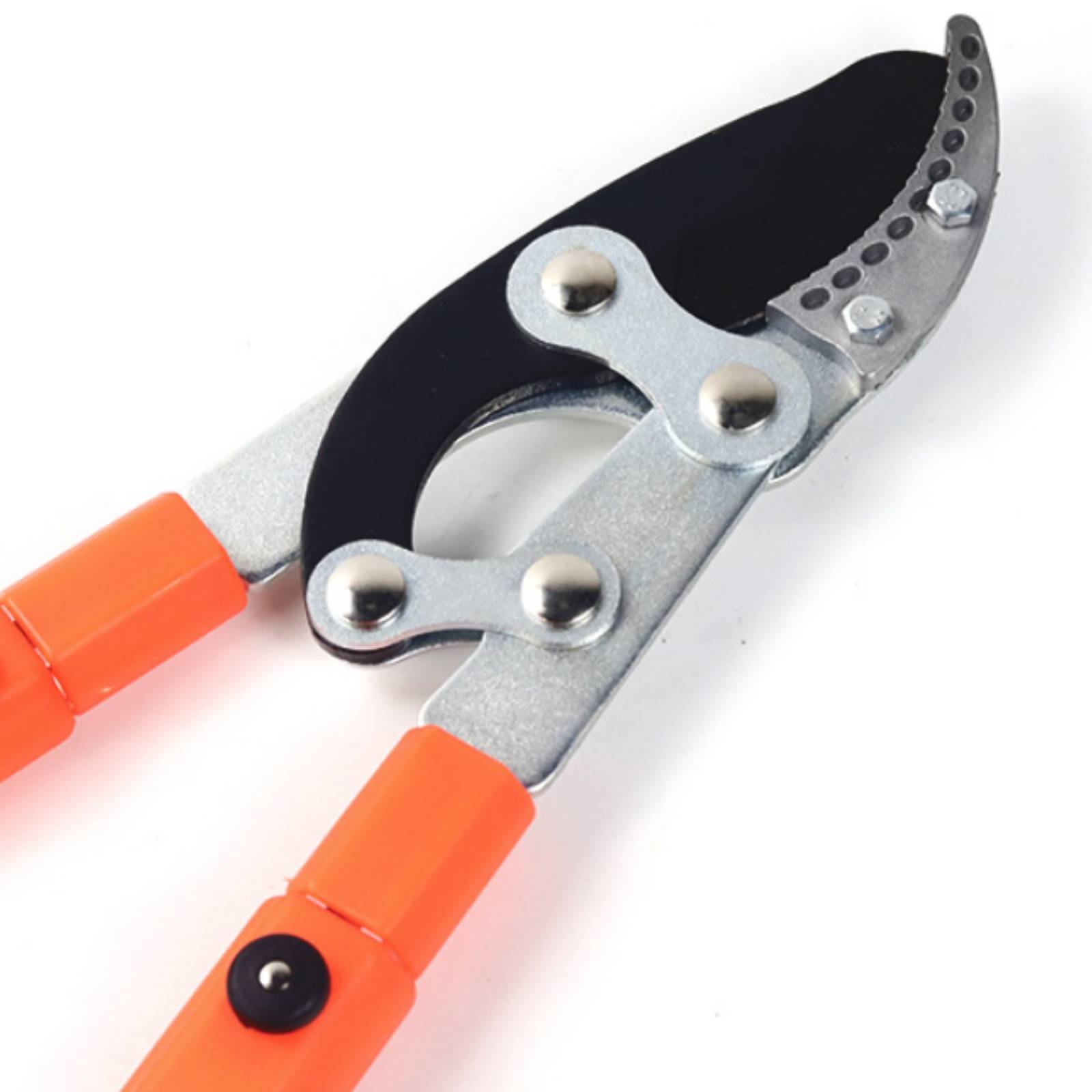 Telescopic Branch Pruners Shar - Gardening Tools ulasan dan harga