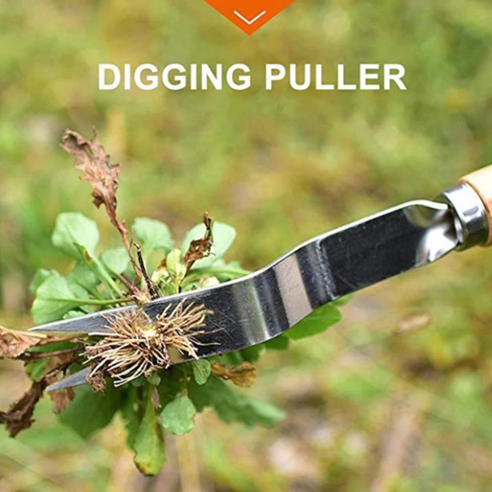 1pcs Wood Handle Stainless Ste - Weed Puller ulasan dan harga