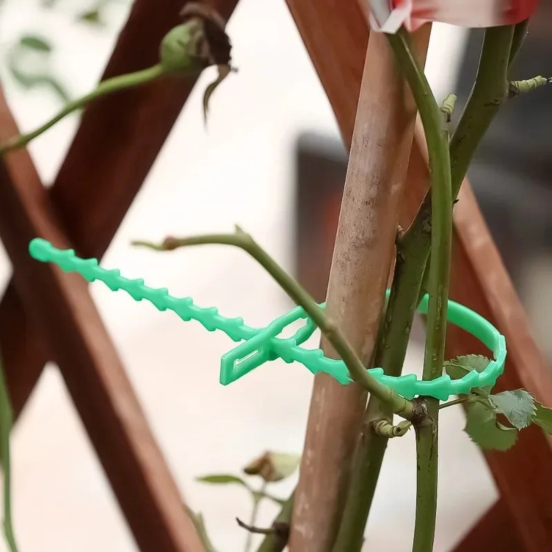 Reusable Garden Cable Ties Pla - Gardening Tools For Vines ulasan dan harga