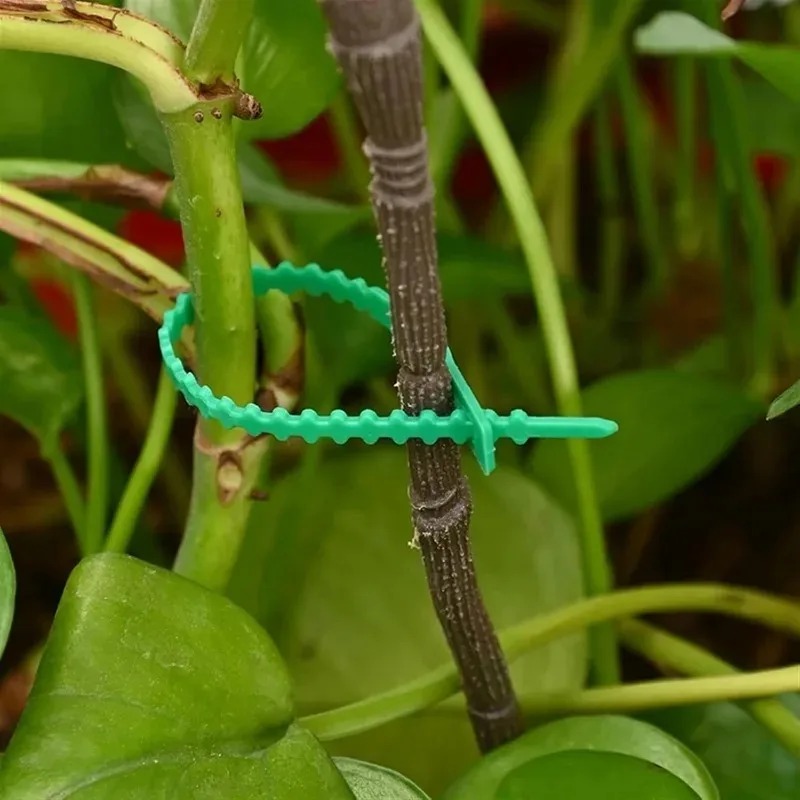 Reusable Garden Cable Ties Pla - Gardening Tools For Vines ulasan dan harga
