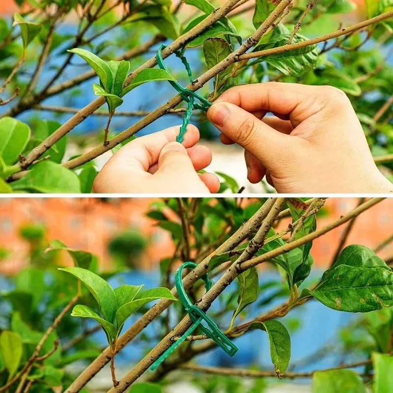 Reusable Garden Cable Ties Pla - Gardening Tools For Vines ulasan dan harga