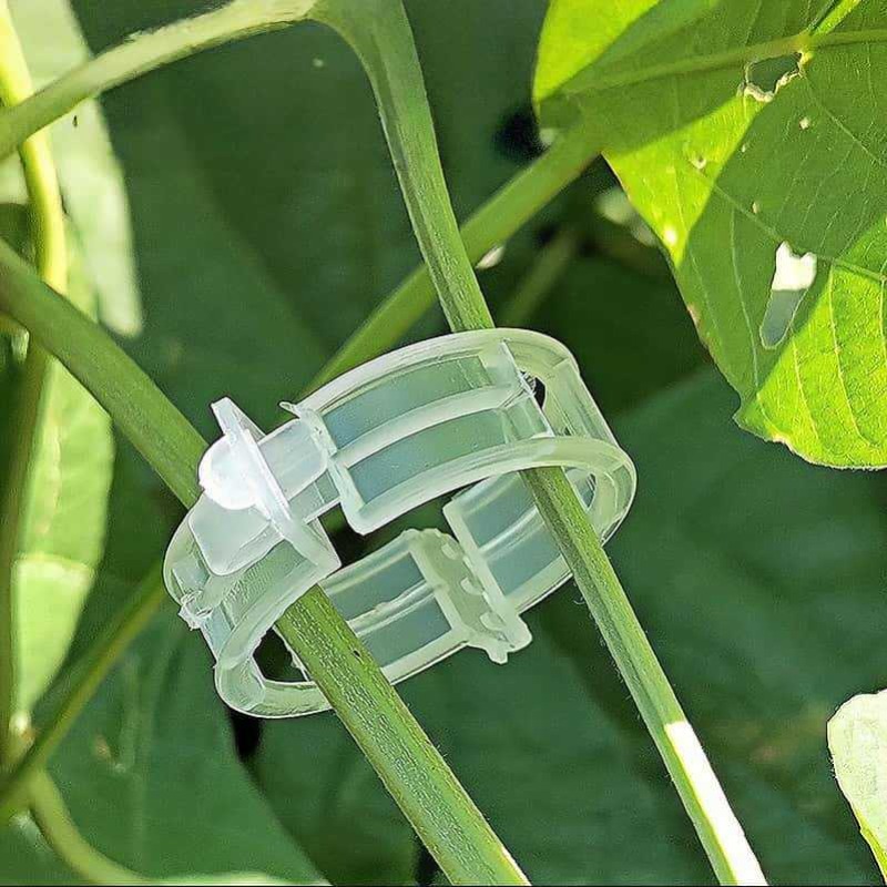 300/50PCS Plant Support Clips  - Gardening Tools For Vines ulasan dan harga