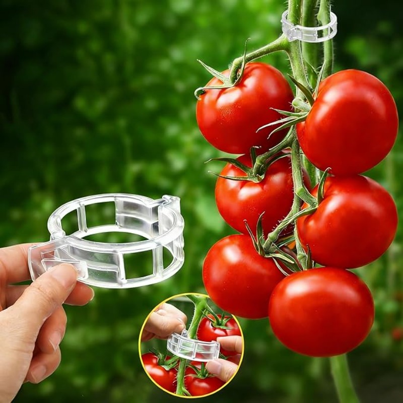 300/50PCS Plant Support Clips  - Gardening Tools For Vines ulasan dan harga